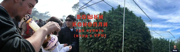 дурь Верея