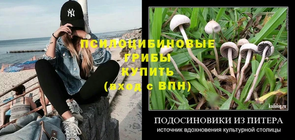 дурь Верея
