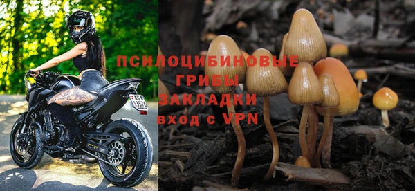молекула духа Бронницы