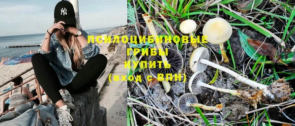 молекула духа Бронницы